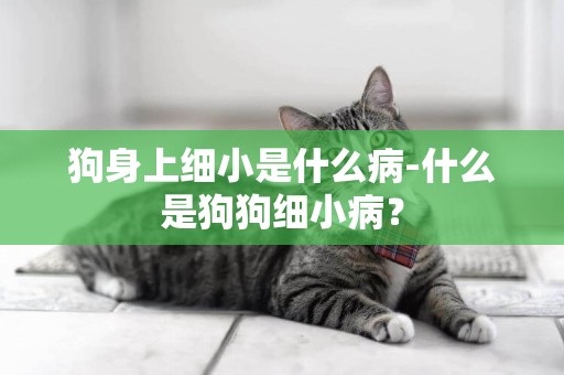 狗身上細小是什么病-什么是狗狗細小病？
