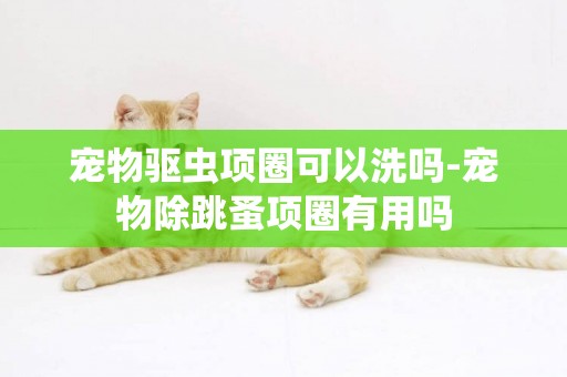 寵物驅蟲項圈可以洗嗎-寵物除跳蚤項圈有用嗎