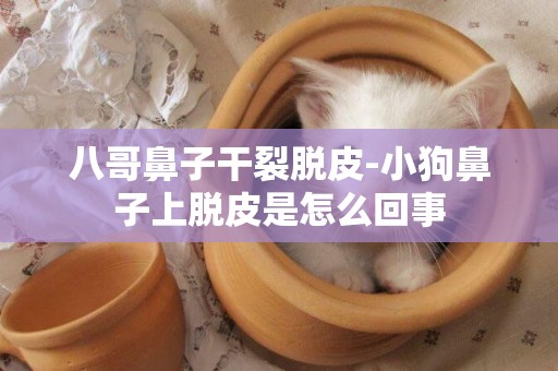 八哥鼻子干裂脫皮-小狗鼻子上脫皮是怎么回事