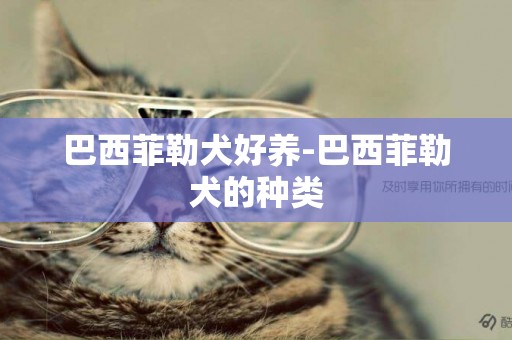 巴西菲勒犬好養-巴西菲勒犬的種類