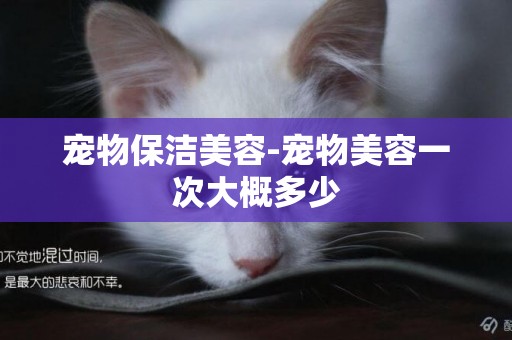 寵物保潔美容-寵物美容一次大概多少