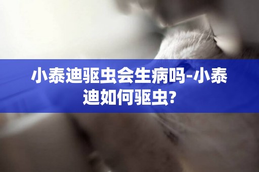 小泰迪驅蟲會生病嗎-小泰迪如何驅蟲?