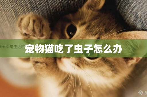 寵物貓吃了蟲子怎么辦