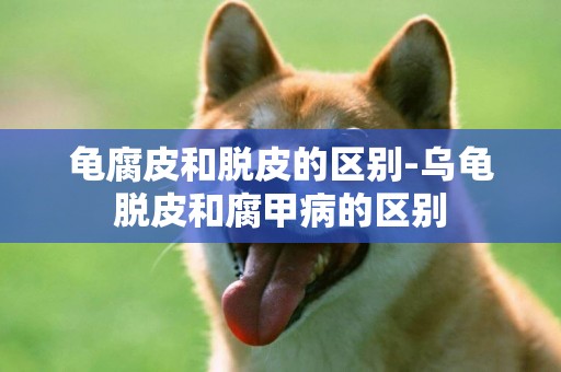 龜腐皮和脫皮的區別-烏龜脫皮和腐甲病的區別