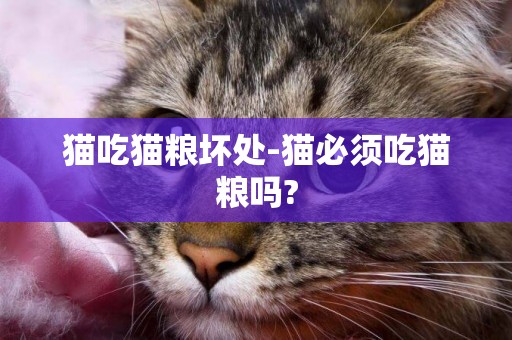 貓吃貓糧壞處-貓必須吃貓糧嗎?