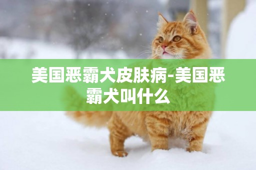 美國惡霸犬皮膚病-美國惡霸犬叫什么