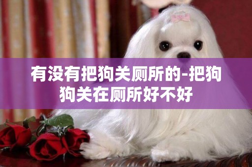 有沒有把狗關廁所的-把狗狗關在廁所好不好