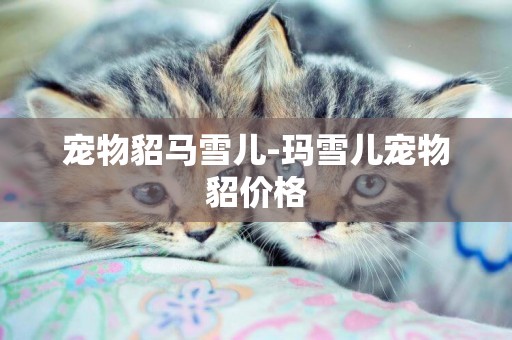 寵物貂馬雪兒-瑪雪兒寵物貂價格