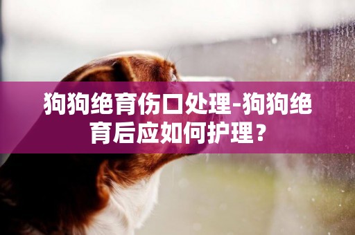 狗狗絕育傷口處理-狗狗絕育后應如何護理？