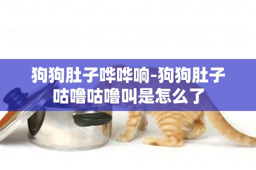 狗狗肚子嘩嘩響-狗狗肚子咕嚕咕嚕叫是怎么了