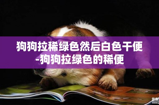 狗狗拉稀綠色然后白色干便-狗狗拉綠色的稀便