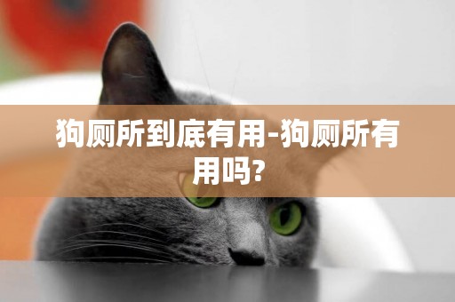 狗廁所到底有用-狗廁所有用嗎?