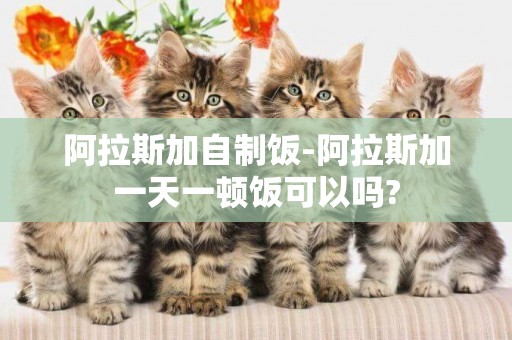 阿拉斯加自制飯-阿拉斯加一天一頓飯可以嗎?
