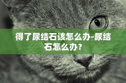 得了尿結石該怎么辦-尿結石怎么辦？