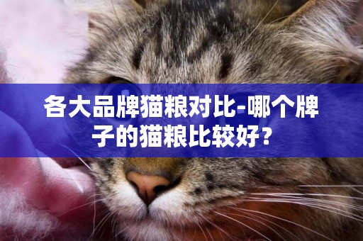 各大品牌貓糧對比-哪個牌子的貓糧比較好？