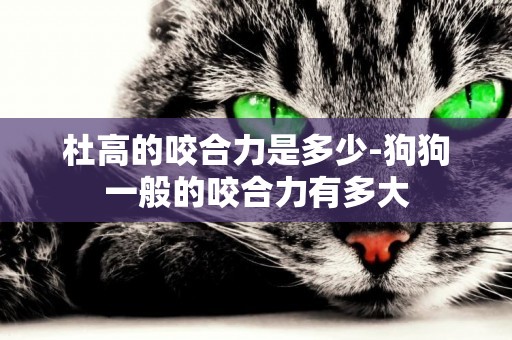 杜高的咬合力是多少-狗狗一般的咬合力有多大