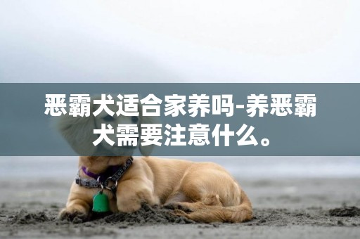 惡霸犬適合家養嗎-養惡霸犬需要注意什么。