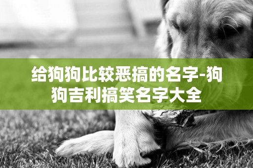 給狗狗比較惡搞的名字-狗狗吉利搞笑名字大全