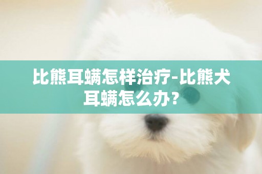 比熊耳螨怎樣治療-比熊犬耳螨怎么辦？