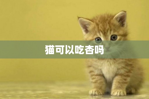 貓可以吃杏嗎