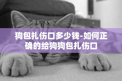 狗包扎傷口多少錢-如何正確的給狗狗包扎傷口