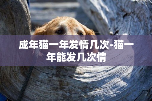 成年貓一年發情幾次-貓一年能發幾次情