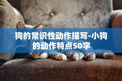 狗的常識性動作描寫-小狗的動作特點50字