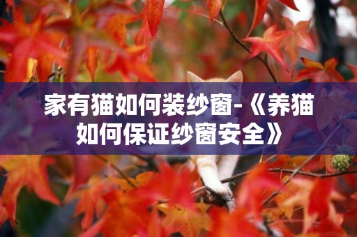 家有貓如何裝紗窗-《養貓如何保證紗窗安全》