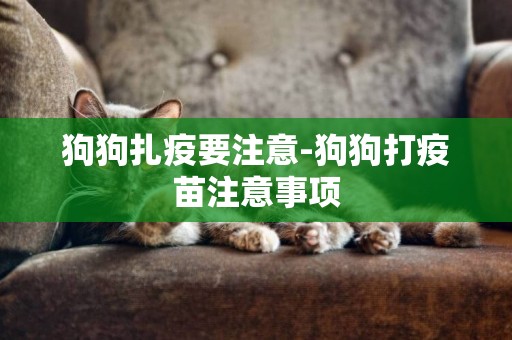 狗狗扎疫要注意-狗狗打疫苗注意事項