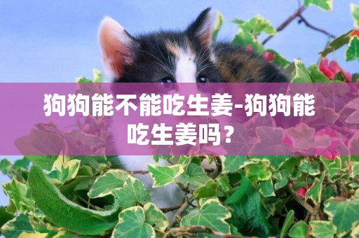 狗狗能不能吃生姜-狗狗能吃生姜嗎？