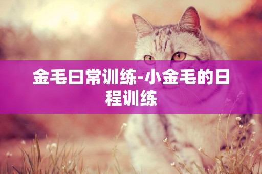 金毛曰常訓練-小金毛的日程訓練