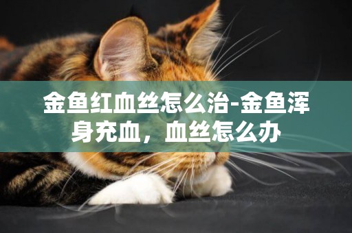 金魚紅血絲怎么治-金魚渾身充血，血絲怎么辦