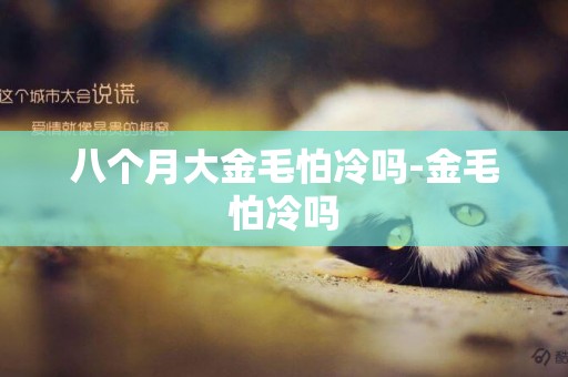 八個月大金毛怕冷嗎-金毛怕冷嗎