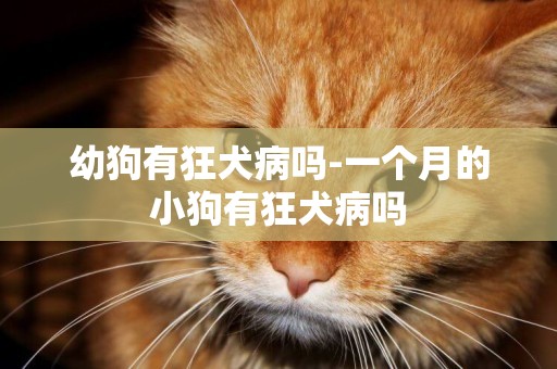 幼狗有狂犬病嗎-一個月的小狗有狂犬病嗎
