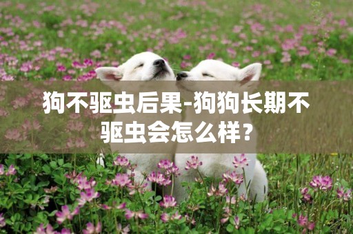 狗不驅蟲后果-狗狗長期不驅蟲會怎么樣？