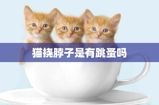 貓撓脖子是有跳蚤嗎
