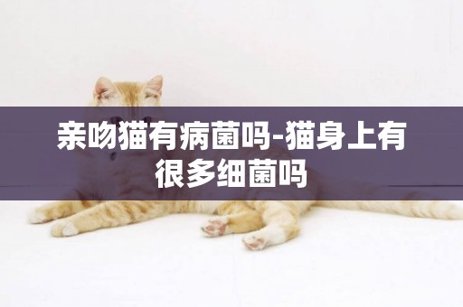 親吻貓有病菌嗎-貓身上有很多細菌嗎