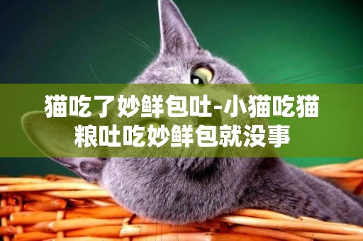 貓吃了妙鮮包吐-小貓吃貓糧吐吃妙鮮包就沒事