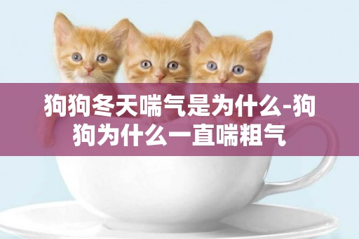 狗狗冬天喘氣是為什么-狗狗為什么一直喘粗氣