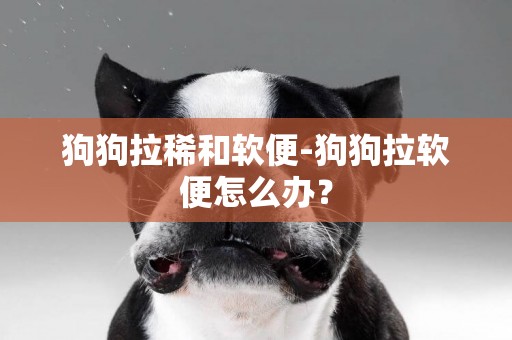 狗狗拉稀和軟便-狗狗拉軟便怎么辦？