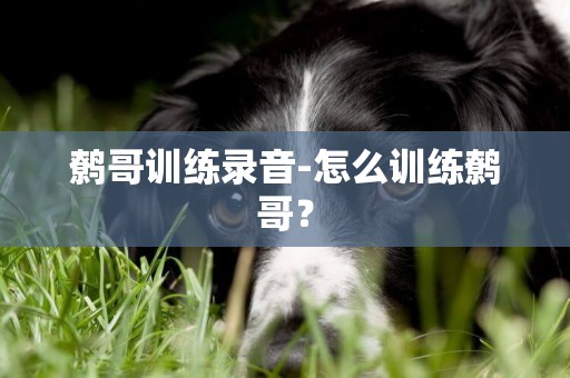 鷯哥訓練錄音-怎么訓練鷯哥？