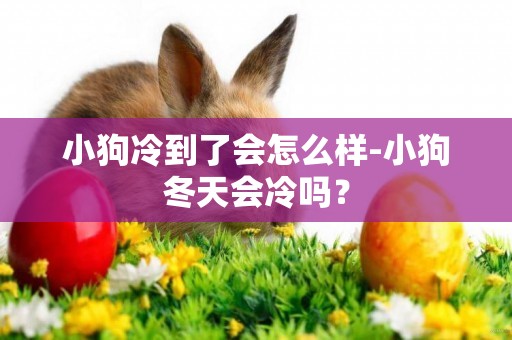小狗冷到了會怎么樣-小狗冬天會冷嗎？