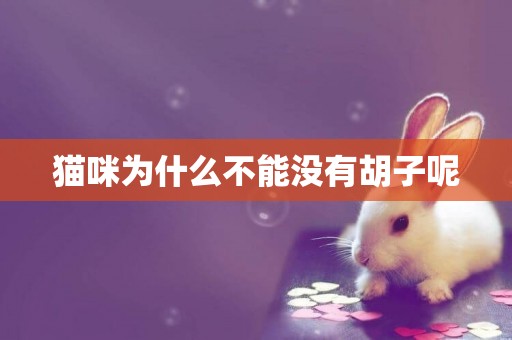 貓咪為什么不能沒有胡子呢