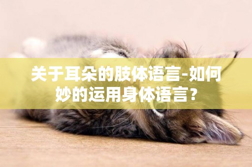關于耳朵的肢體語言-如何妙的運用身體語言？