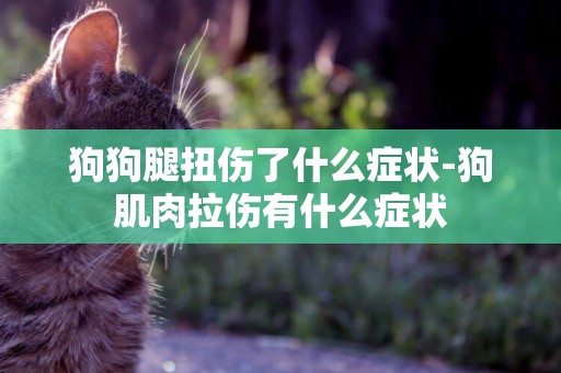 狗狗腿扭傷了什么癥狀-狗肌肉拉傷有什么癥狀