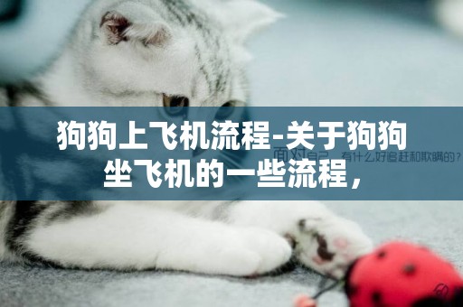 狗狗上飛機流程-關于狗狗坐飛機的一些流程，