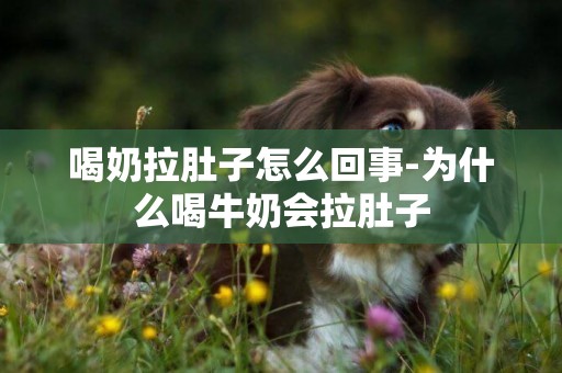 喝奶拉肚子怎么回事-為什么喝牛奶會拉肚子