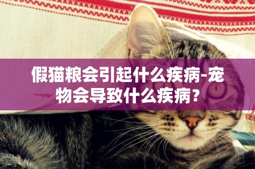 假貓糧會引起什么疾病-寵物會導致什么疾病？