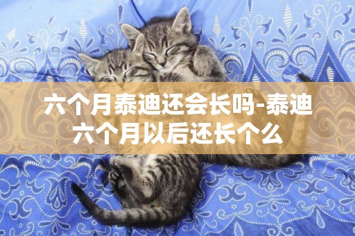 六個月泰迪還會長嗎-泰迪六個月以后還長個么