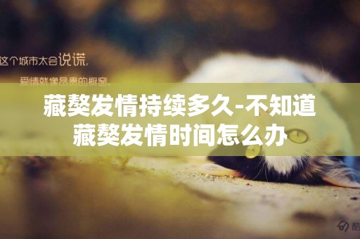 藏獒發情持續多久-不知道藏獒發情時間怎么辦